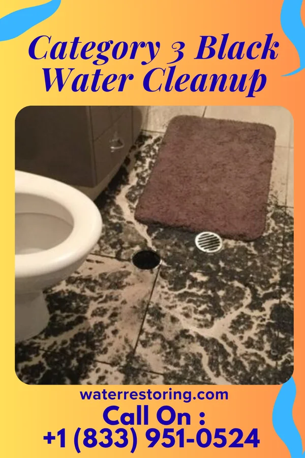 Category 3 Black Water Cleanup in Collins, GA