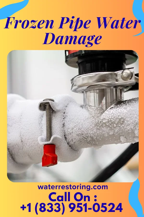 Frozen Pipe Water Damage in Collins, GA