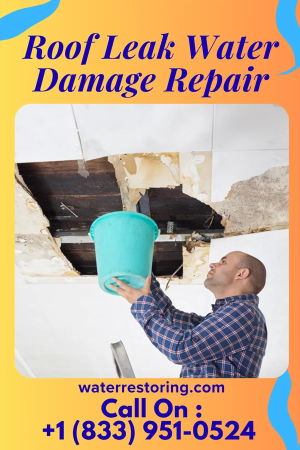 Roof Leak Water Damage Repair in Collins, GA