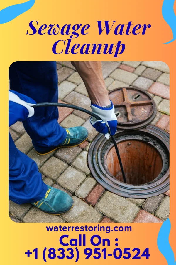 Sewage Water Cleanup in Collins, GA